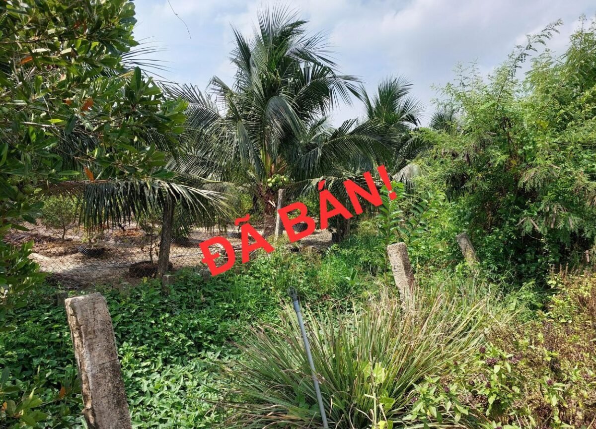 Đất Rộng Sổ Hồng Chính Chủ – Giá Rẻ Chỉ 200 Triệu