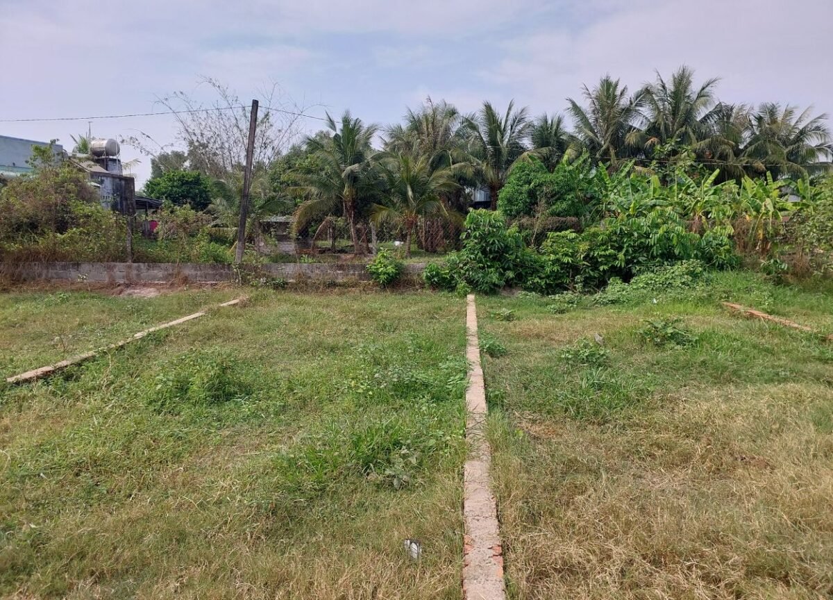 Ảnh minh họa lô đất xanh số 430 bằng phẳng, ranh giới rõ ràng, tượng trưng cho xu hướng mua đất nền thời đỉnh giá tại các tỉnh phía Nam.